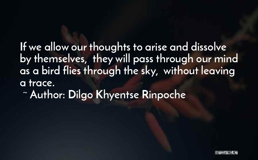 Dilgo Khyentse Rinpoche Quotes: If We Allow Our Thoughts To Arise And Dissolve By Themselves, They Will Pass Through Our Mind As A Bird