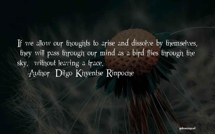 Dilgo Khyentse Rinpoche Quotes: If We Allow Our Thoughts To Arise And Dissolve By Themselves, They Will Pass Through Our Mind As A Bird