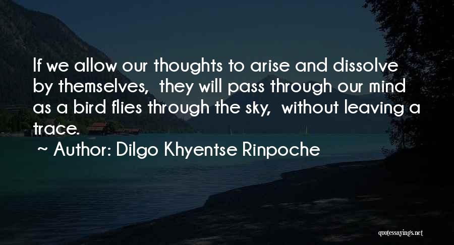 Dilgo Khyentse Rinpoche Quotes: If We Allow Our Thoughts To Arise And Dissolve By Themselves, They Will Pass Through Our Mind As A Bird