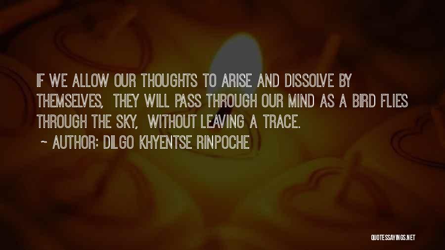 Dilgo Khyentse Rinpoche Quotes: If We Allow Our Thoughts To Arise And Dissolve By Themselves, They Will Pass Through Our Mind As A Bird