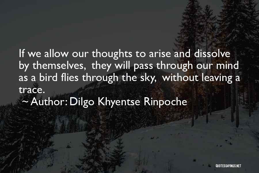 Dilgo Khyentse Rinpoche Quotes: If We Allow Our Thoughts To Arise And Dissolve By Themselves, They Will Pass Through Our Mind As A Bird