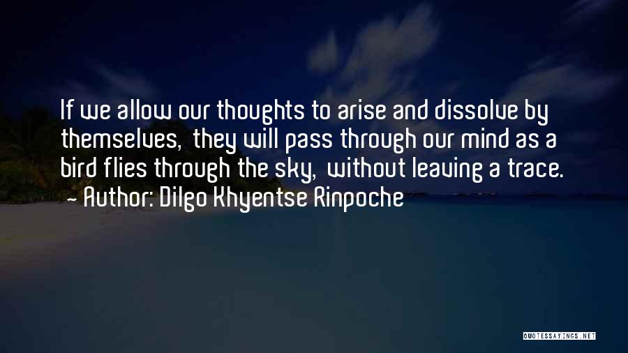 Dilgo Khyentse Rinpoche Quotes: If We Allow Our Thoughts To Arise And Dissolve By Themselves, They Will Pass Through Our Mind As A Bird