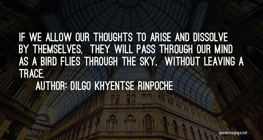 Dilgo Khyentse Rinpoche Quotes: If We Allow Our Thoughts To Arise And Dissolve By Themselves, They Will Pass Through Our Mind As A Bird