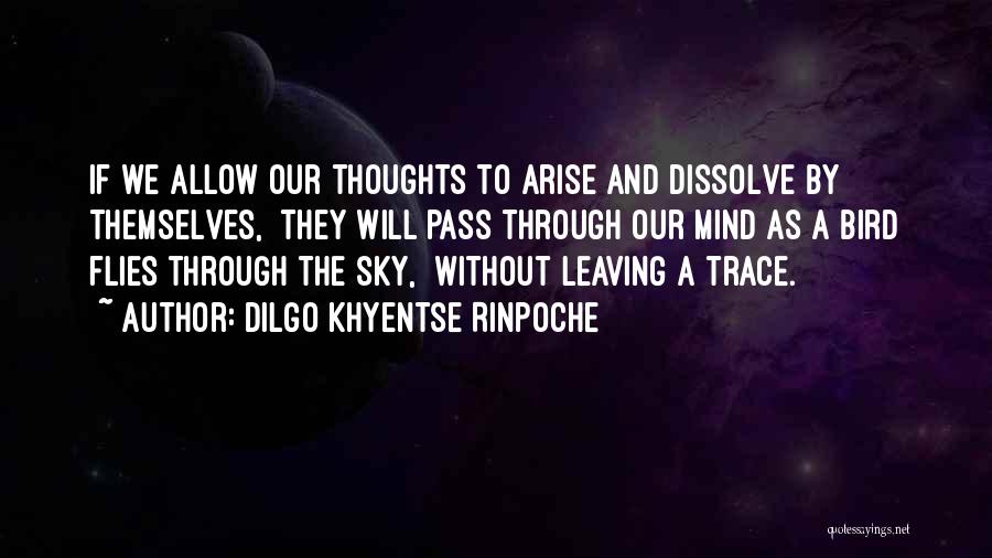 Dilgo Khyentse Rinpoche Quotes: If We Allow Our Thoughts To Arise And Dissolve By Themselves, They Will Pass Through Our Mind As A Bird