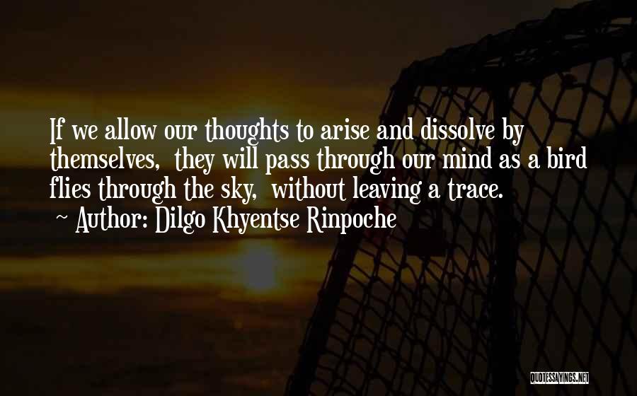 Dilgo Khyentse Rinpoche Quotes: If We Allow Our Thoughts To Arise And Dissolve By Themselves, They Will Pass Through Our Mind As A Bird