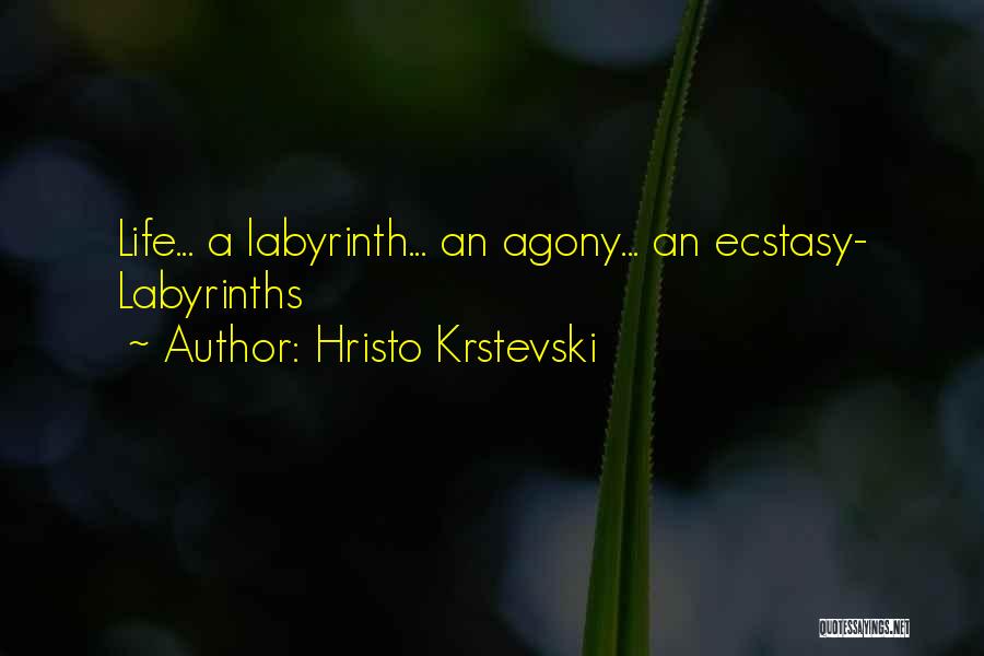 Hristo Krstevski Quotes: Life... A Labyrinth... An Agony... An Ecstasy- Labyrinths