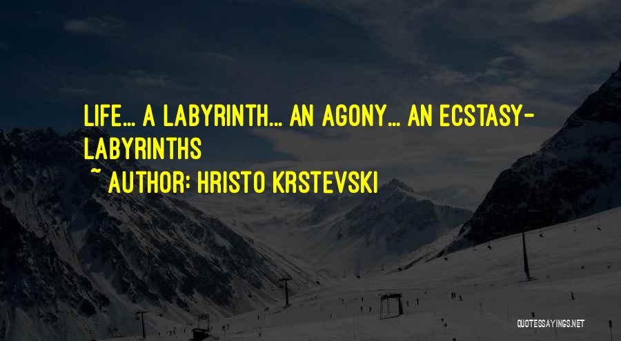 Hristo Krstevski Quotes: Life... A Labyrinth... An Agony... An Ecstasy- Labyrinths