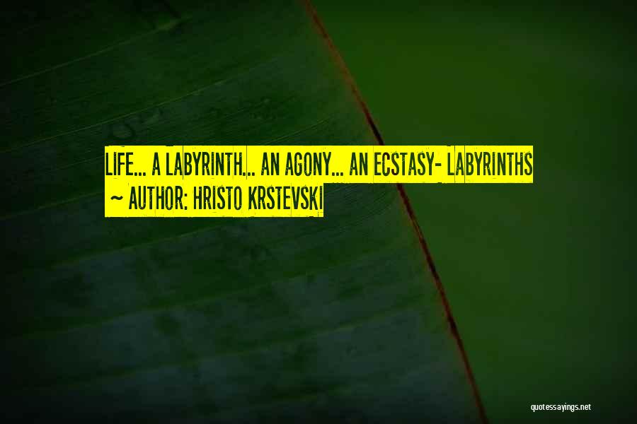 Hristo Krstevski Quotes: Life... A Labyrinth... An Agony... An Ecstasy- Labyrinths