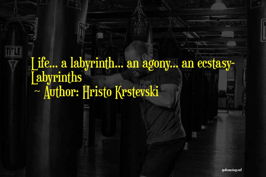 Hristo Krstevski Quotes: Life... A Labyrinth... An Agony... An Ecstasy- Labyrinths