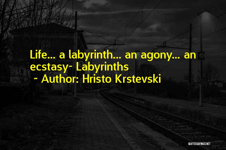 Hristo Krstevski Quotes: Life... A Labyrinth... An Agony... An Ecstasy- Labyrinths