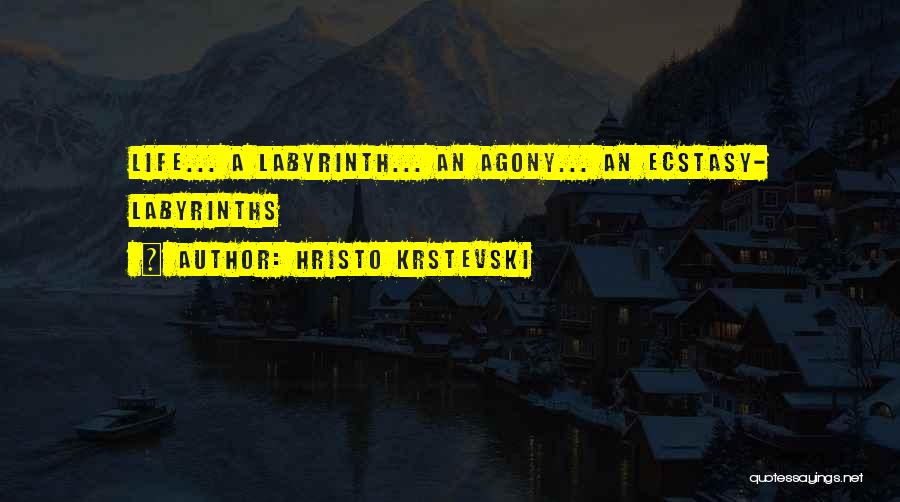 Hristo Krstevski Quotes: Life... A Labyrinth... An Agony... An Ecstasy- Labyrinths