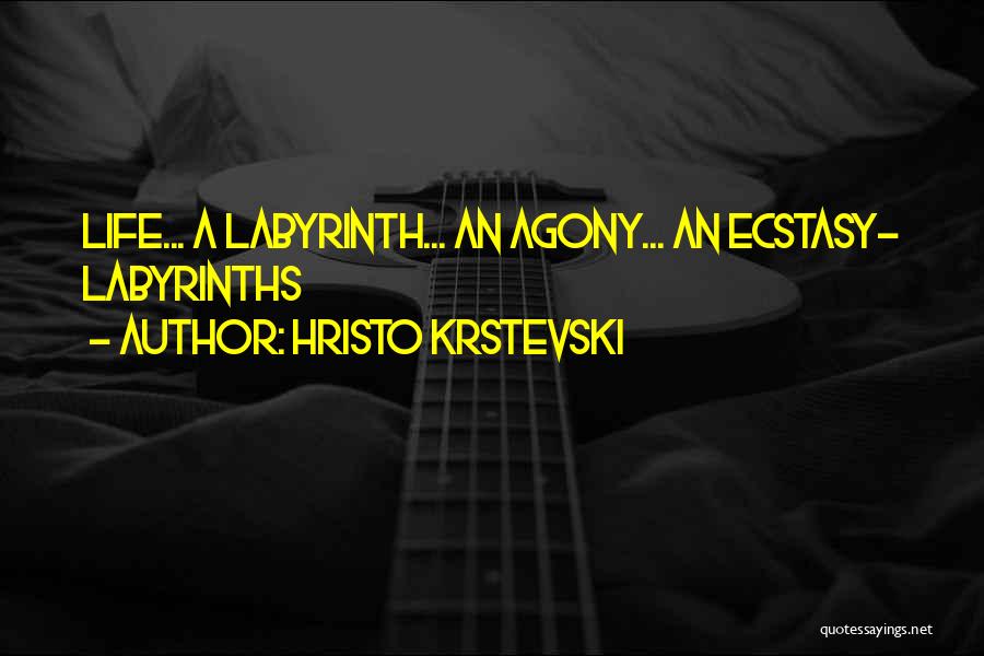 Hristo Krstevski Quotes: Life... A Labyrinth... An Agony... An Ecstasy- Labyrinths