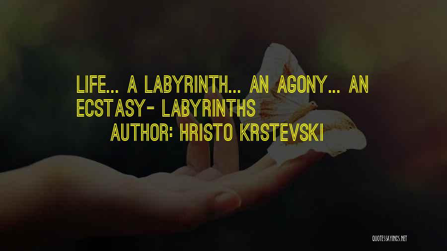 Hristo Krstevski Quotes: Life... A Labyrinth... An Agony... An Ecstasy- Labyrinths