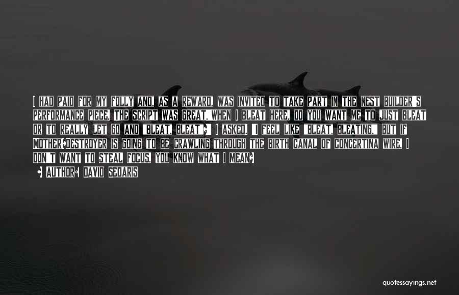 David Sedaris Quotes: I Had Paid For My Folly And, As A Reward, Was Invited To Take Part In The Nest Builder's Performance
