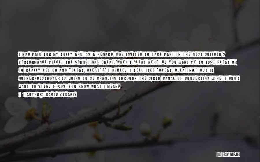 David Sedaris Quotes: I Had Paid For My Folly And, As A Reward, Was Invited To Take Part In The Nest Builder's Performance