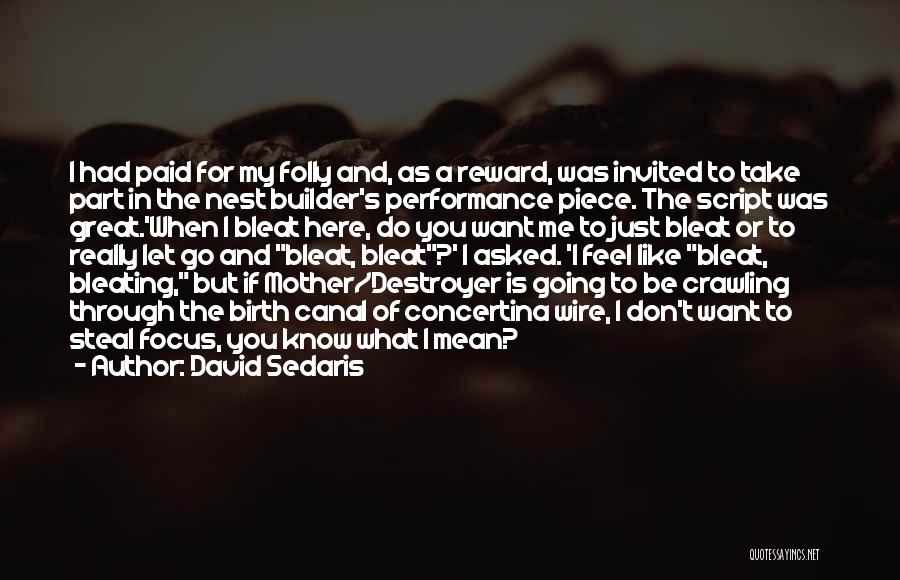 David Sedaris Quotes: I Had Paid For My Folly And, As A Reward, Was Invited To Take Part In The Nest Builder's Performance