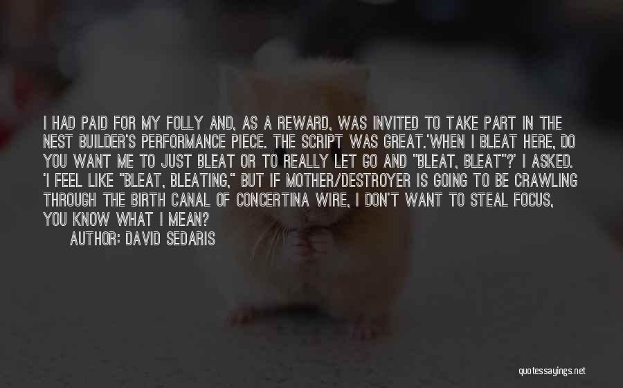 David Sedaris Quotes: I Had Paid For My Folly And, As A Reward, Was Invited To Take Part In The Nest Builder's Performance