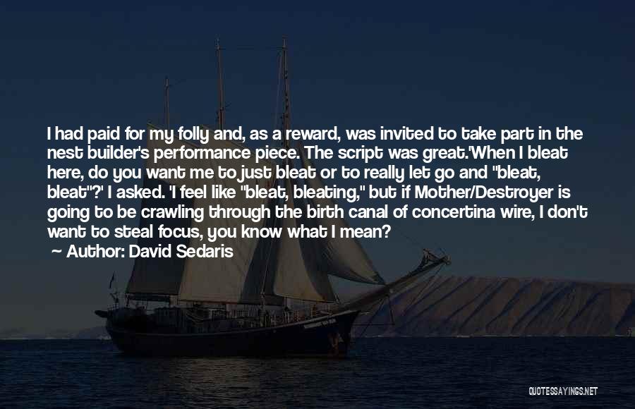 David Sedaris Quotes: I Had Paid For My Folly And, As A Reward, Was Invited To Take Part In The Nest Builder's Performance