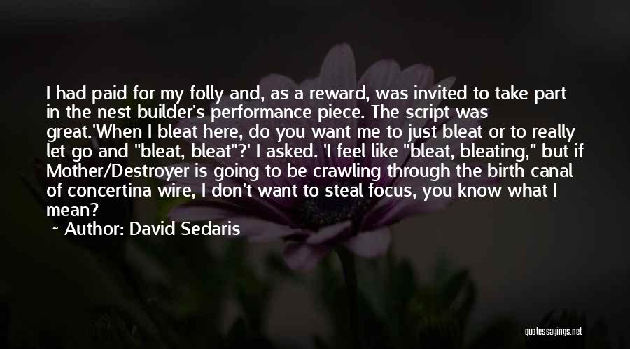 David Sedaris Quotes: I Had Paid For My Folly And, As A Reward, Was Invited To Take Part In The Nest Builder's Performance