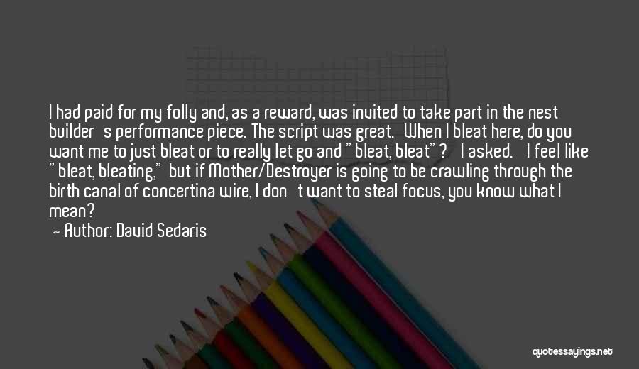 David Sedaris Quotes: I Had Paid For My Folly And, As A Reward, Was Invited To Take Part In The Nest Builder's Performance