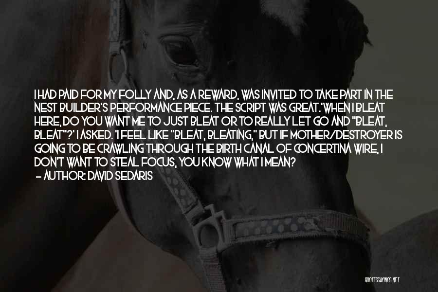 David Sedaris Quotes: I Had Paid For My Folly And, As A Reward, Was Invited To Take Part In The Nest Builder's Performance