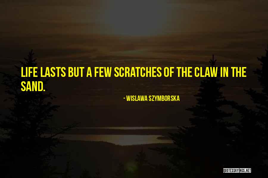42671 01 Quotes By Wislawa Szymborska 42671 01 Quotes By Wislawa Szymborska