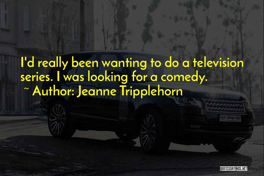 Jeanne Tripplehorn Quotes: I'd Really Been Wanting To Do A Television Series. I Was Looking For A Comedy.