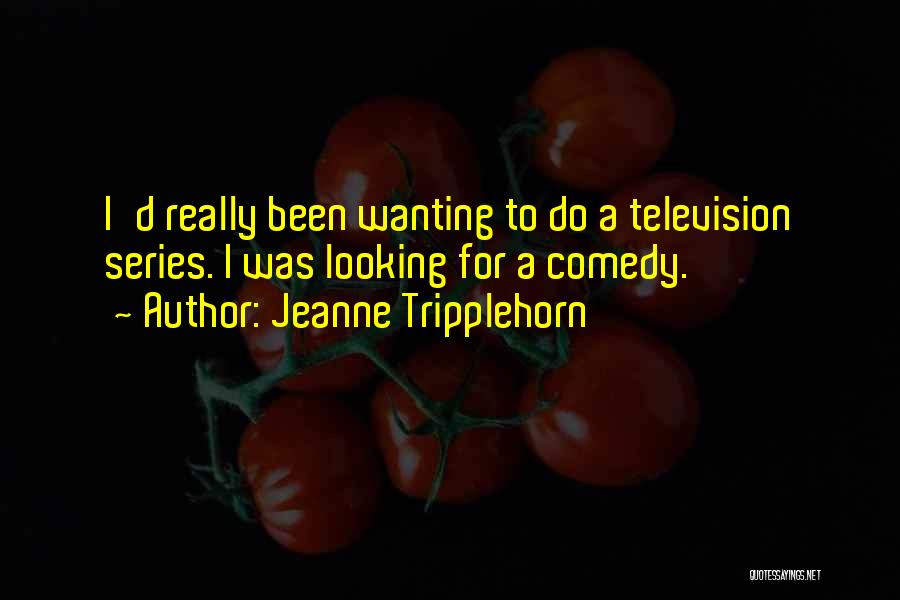 Jeanne Tripplehorn Quotes: I'd Really Been Wanting To Do A Television Series. I Was Looking For A Comedy.