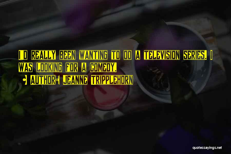 Jeanne Tripplehorn Quotes: I'd Really Been Wanting To Do A Television Series. I Was Looking For A Comedy.