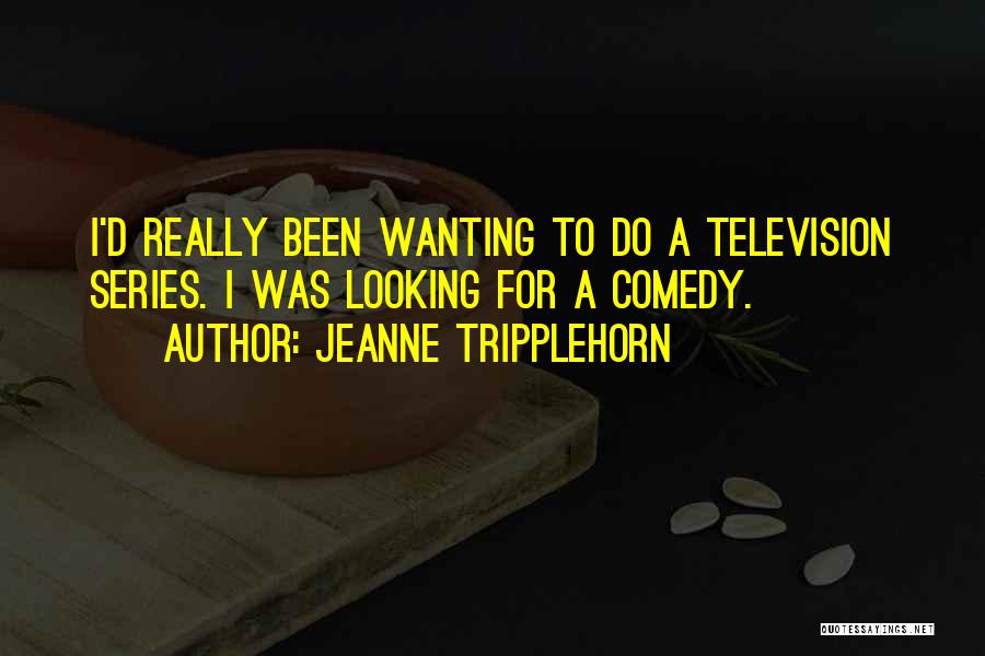 Jeanne Tripplehorn Quotes: I'd Really Been Wanting To Do A Television Series. I Was Looking For A Comedy.