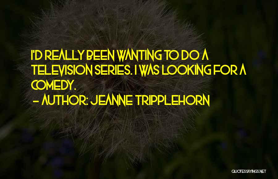 Jeanne Tripplehorn Quotes: I'd Really Been Wanting To Do A Television Series. I Was Looking For A Comedy.