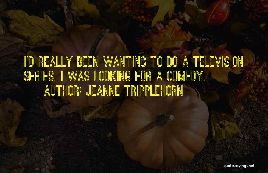 Jeanne Tripplehorn Quotes: I'd Really Been Wanting To Do A Television Series. I Was Looking For A Comedy.