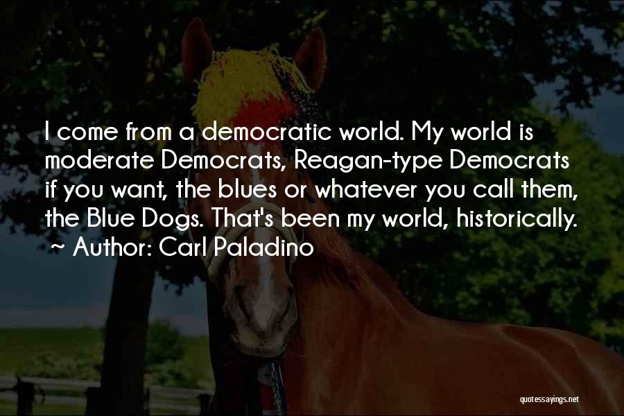 Carl Paladino Quotes: I Come From A Democratic World. My World Is Moderate Democrats, Reagan-type Democrats If You Want, The Blues Or Whatever