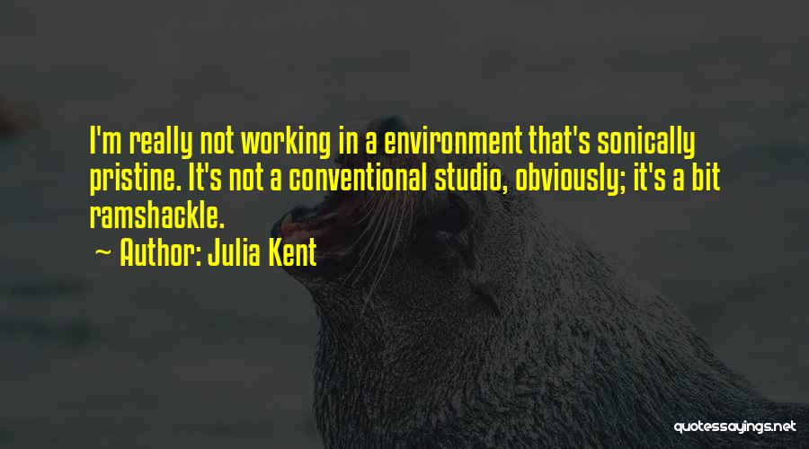 Julia Kent Quotes: I'm Really Not Working In A Environment That's Sonically Pristine. It's Not A Conventional Studio, Obviously; It's A Bit Ramshackle.