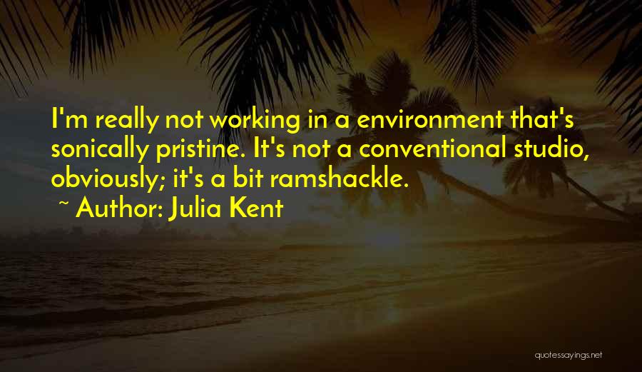 Julia Kent Quotes: I'm Really Not Working In A Environment That's Sonically Pristine. It's Not A Conventional Studio, Obviously; It's A Bit Ramshackle.