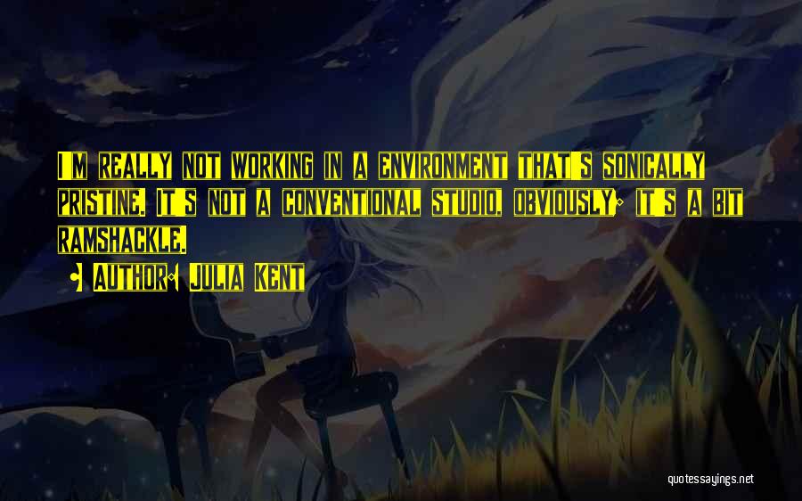 Julia Kent Quotes: I'm Really Not Working In A Environment That's Sonically Pristine. It's Not A Conventional Studio, Obviously; It's A Bit Ramshackle.