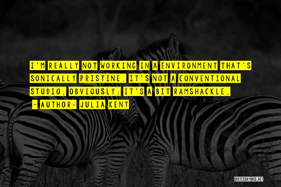 Julia Kent Quotes: I'm Really Not Working In A Environment That's Sonically Pristine. It's Not A Conventional Studio, Obviously; It's A Bit Ramshackle.