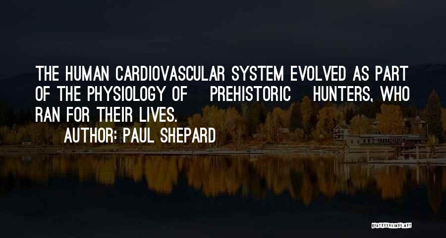 Paul Shepard Quotes: The Human Cardiovascular System Evolved As Part Of The Physiology Of [prehistoric] Hunters, Who Ran For Their Lives.