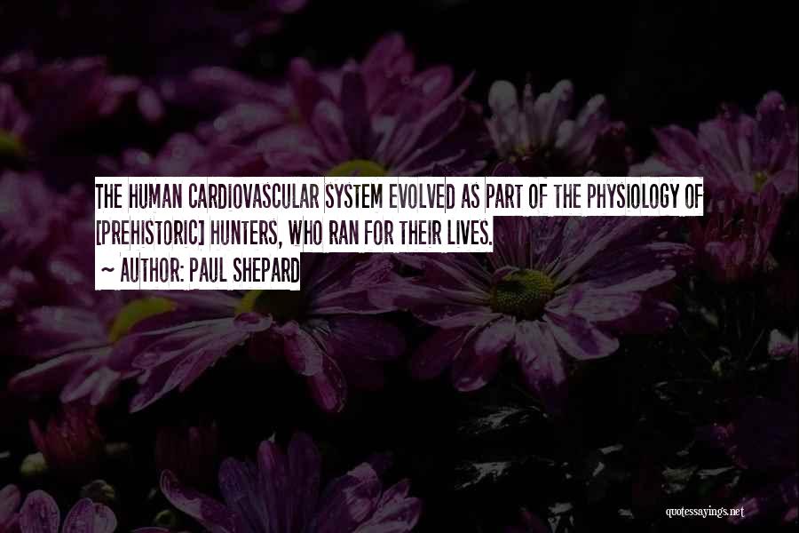 Paul Shepard Quotes: The Human Cardiovascular System Evolved As Part Of The Physiology Of [prehistoric] Hunters, Who Ran For Their Lives.