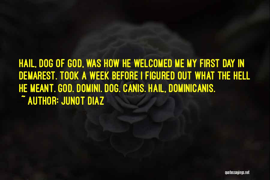 Junot Diaz Quotes: Hail, Dog Of God, Was How He Welcomed Me My First Day In Demarest. Took A Week Before I Figured