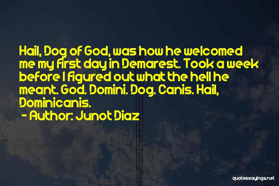 Junot Diaz Quotes: Hail, Dog Of God, Was How He Welcomed Me My First Day In Demarest. Took A Week Before I Figured