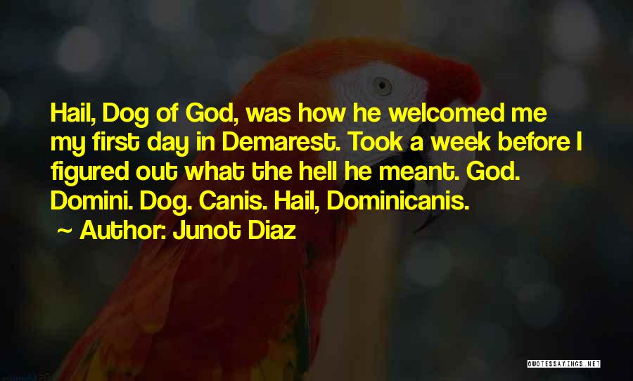 Junot Diaz Quotes: Hail, Dog Of God, Was How He Welcomed Me My First Day In Demarest. Took A Week Before I Figured