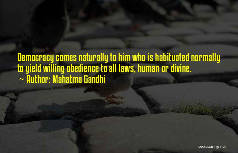 Mahatma Gandhi Quotes: Democracy Comes Naturally To Him Who Is Habituated Normally To Yield Willing Obedience To All Laws, Human Or Divine.