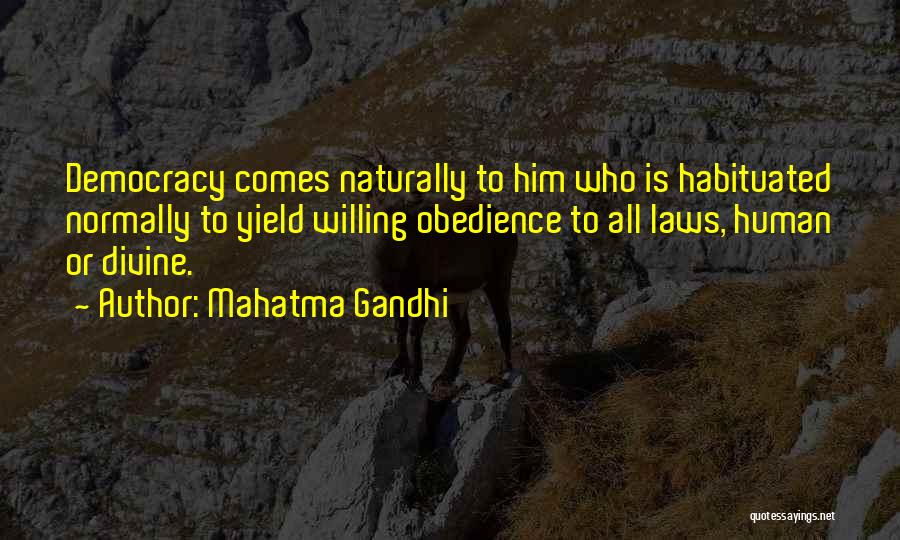 Mahatma Gandhi Quotes: Democracy Comes Naturally To Him Who Is Habituated Normally To Yield Willing Obedience To All Laws, Human Or Divine.
