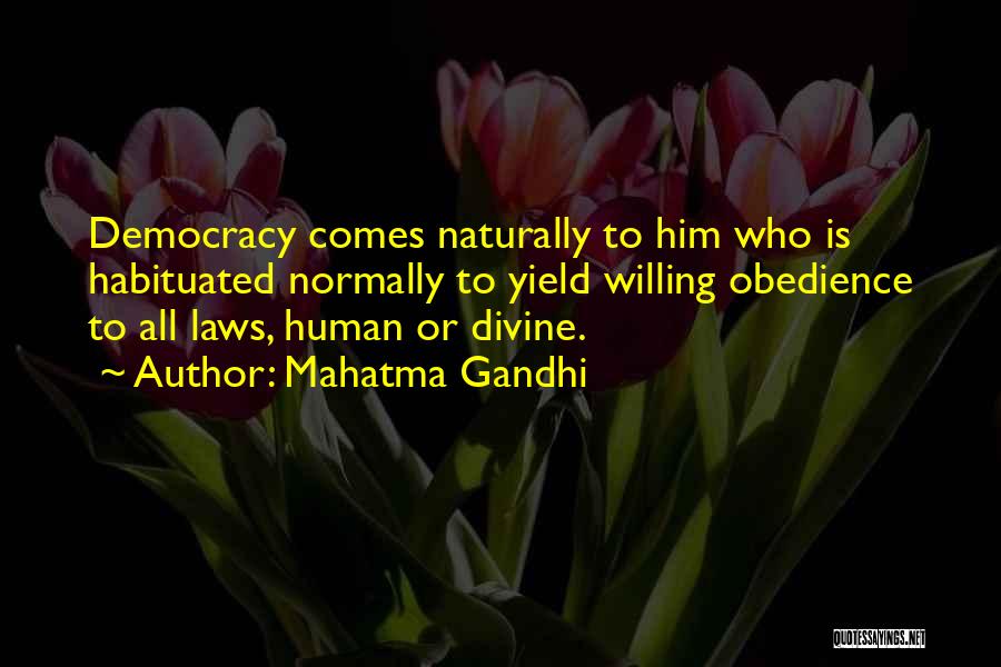 Mahatma Gandhi Quotes: Democracy Comes Naturally To Him Who Is Habituated Normally To Yield Willing Obedience To All Laws, Human Or Divine.