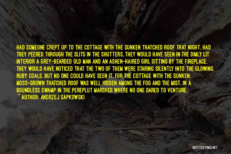 Andrzej Sapkowski Quotes: Had Someone Crept Up To The Cottage With The Sunken Thatched Roof That Night, Had They Peered Through The Slits