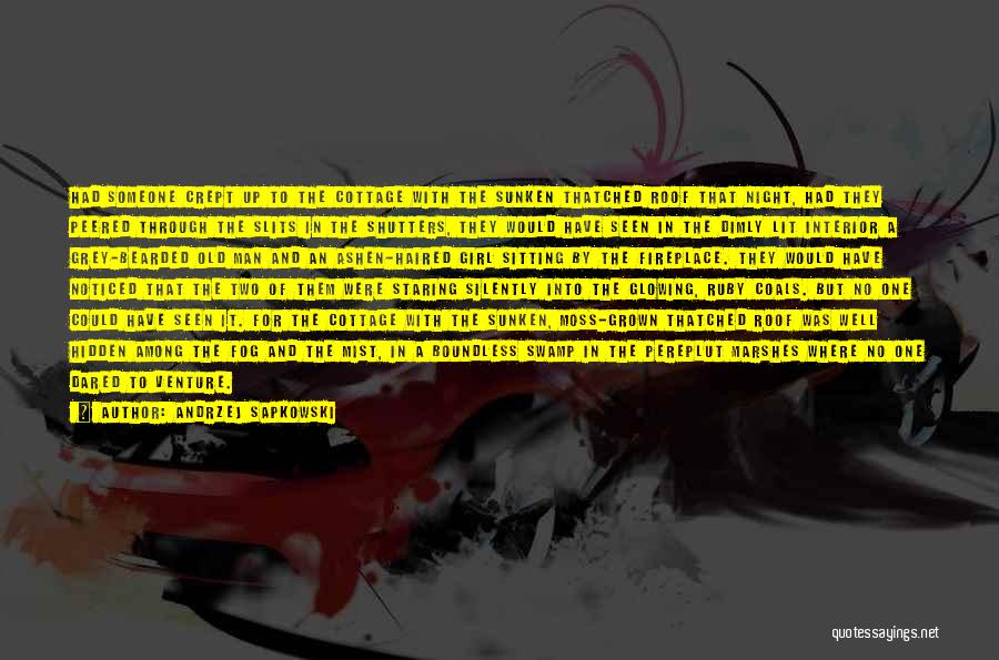 Andrzej Sapkowski Quotes: Had Someone Crept Up To The Cottage With The Sunken Thatched Roof That Night, Had They Peered Through The Slits