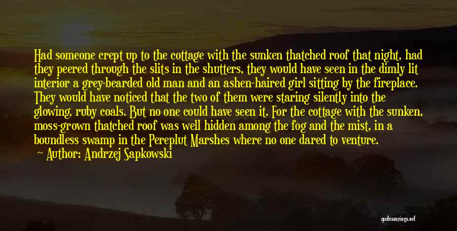 Andrzej Sapkowski Quotes: Had Someone Crept Up To The Cottage With The Sunken Thatched Roof That Night, Had They Peered Through The Slits