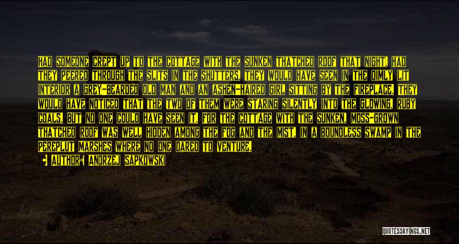 Andrzej Sapkowski Quotes: Had Someone Crept Up To The Cottage With The Sunken Thatched Roof That Night, Had They Peered Through The Slits