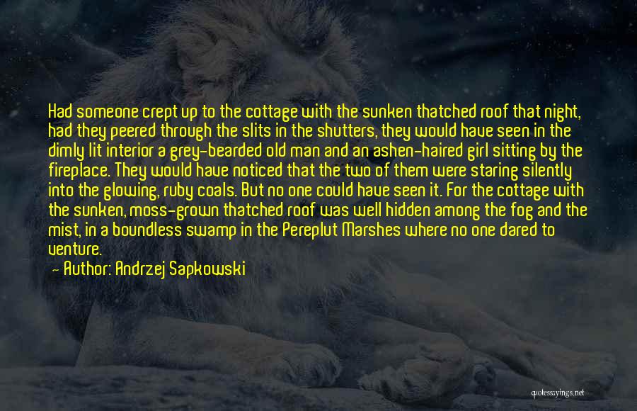 Andrzej Sapkowski Quotes: Had Someone Crept Up To The Cottage With The Sunken Thatched Roof That Night, Had They Peered Through The Slits